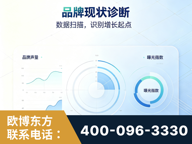 保定-品牌现状诊断
