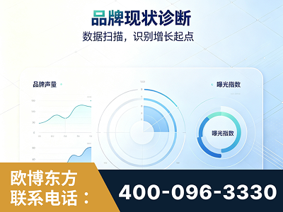 保定-品牌现状诊断
