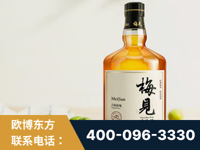 保定-梅见青梅酒
